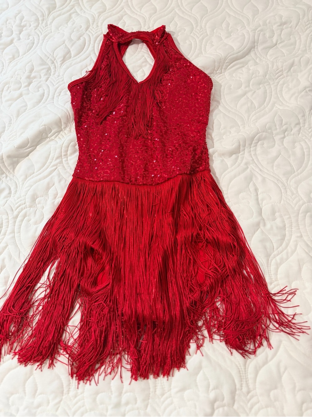 Elegant Red Fringe costume Dress - Sleeveless Sequin Bodice